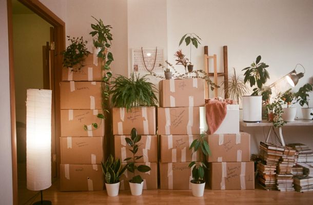 Foto Unsplash / Dina Badamshina
